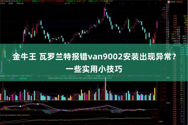 金牛王 瓦罗兰特报错van9002安装出现异常？一些实用小技巧