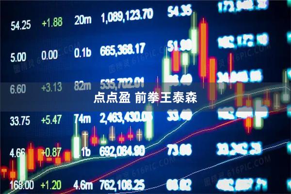 点点盈 前拳王泰森