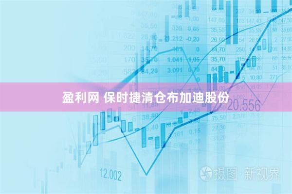 盈利网 保时捷清仓布加迪股份