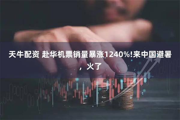 天牛配资 赴华机票销量暴涨1240%!来中国避暑，火了